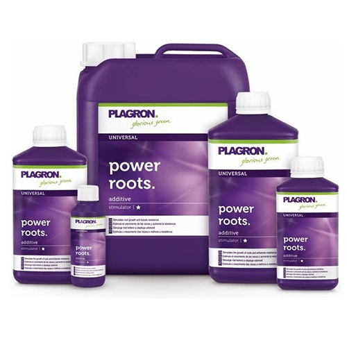 PLAGRON Power Roots 250ml - Grow-Xplosion