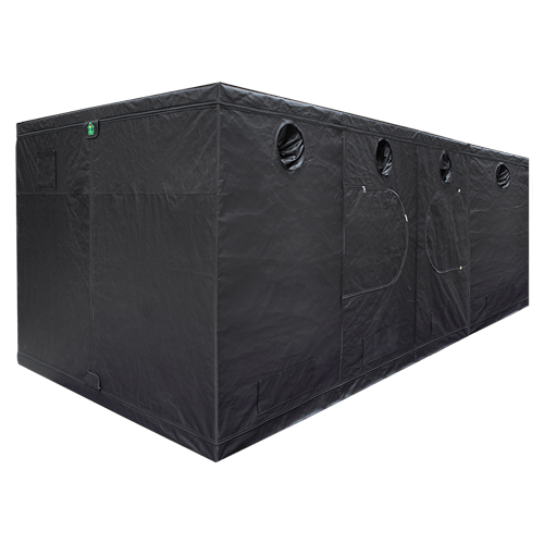 Dr. Green Box GR480 480x240x215/240 cm - Grow-Xplosion