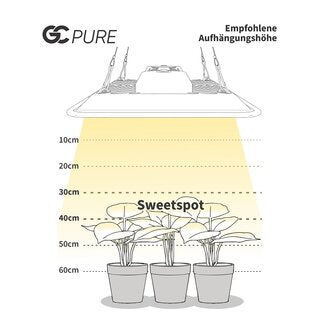 Greenception GC-Pure 80W