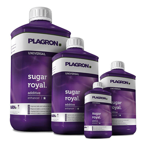 PLAGRON Sugar Royal - Grow-Xplosion