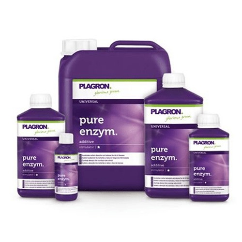 PLAGRON Pure Zym - Grow-Xplosion