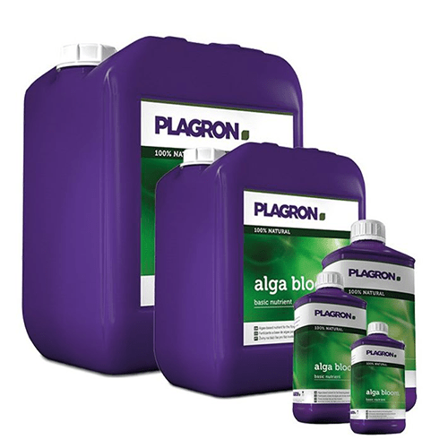 PLAGRON Alga Bloom - Grow-Xplosion