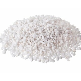 Plagron Perlite